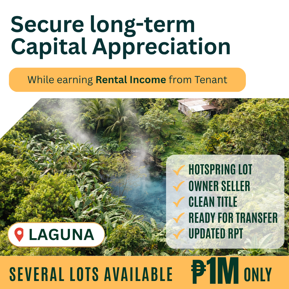 NatureSpring Investment Properties Facebook ad: Own an Income-Producing Asset