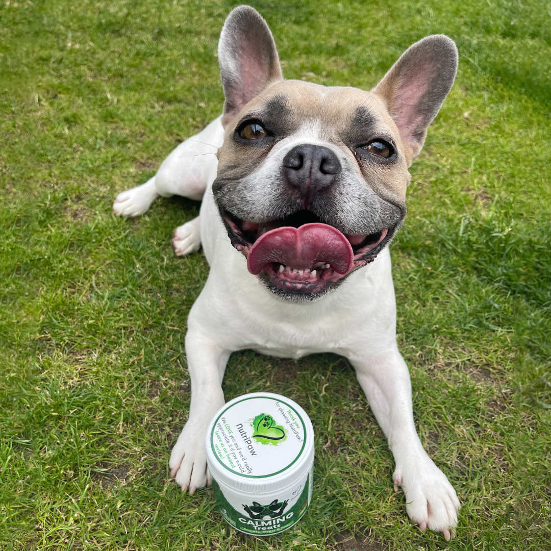 Nutri Paw Facebook ad