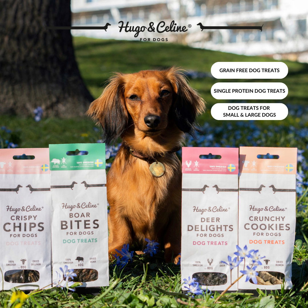 Hugo & Celine - For Dogs Facebook ad