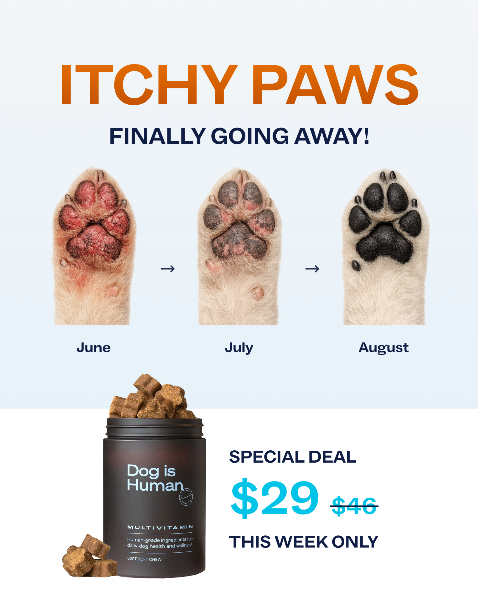 Dog is Human Facebook ad