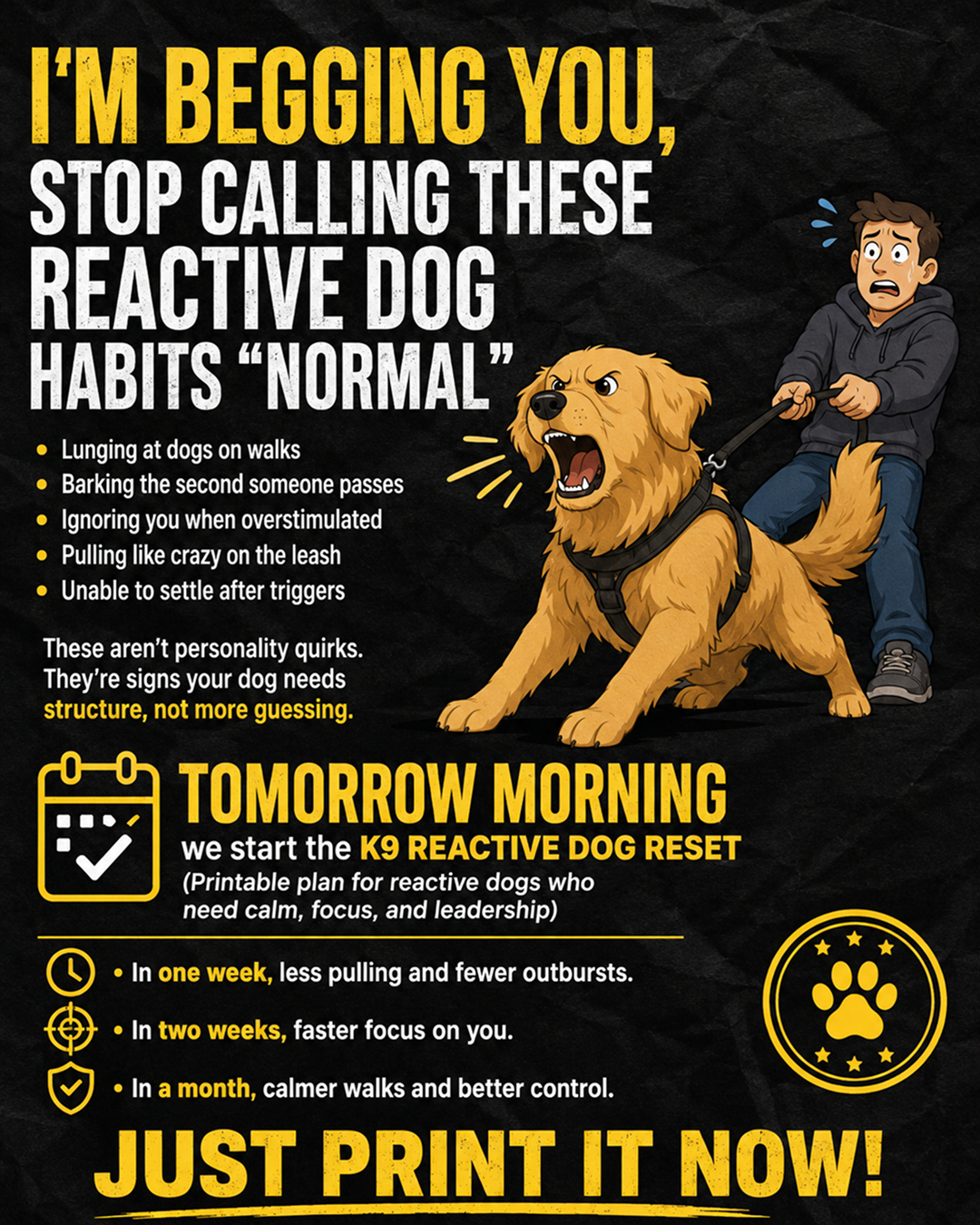 Reactive Dogs Club Facebook ad