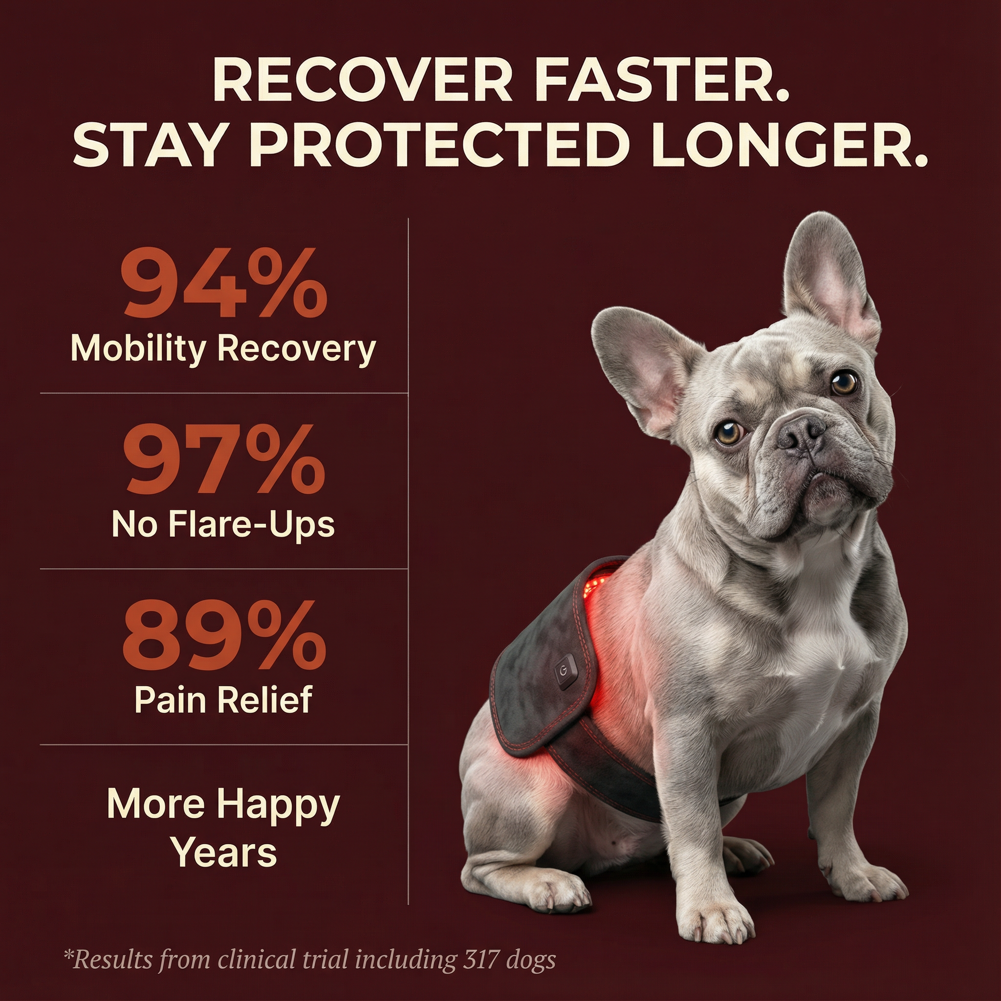Amy's Dog Diary Facebook ad: Try PetGlow Risk-Free Today