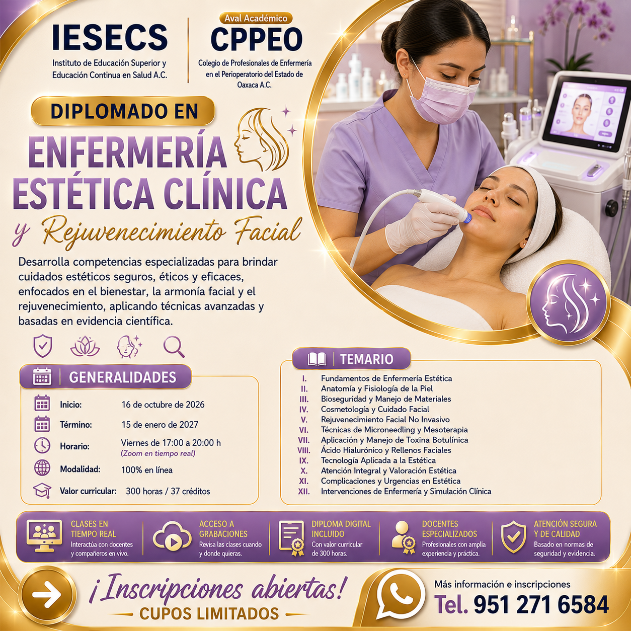Diplomados Iesecs Cppeo Facebook ad: Información Completa