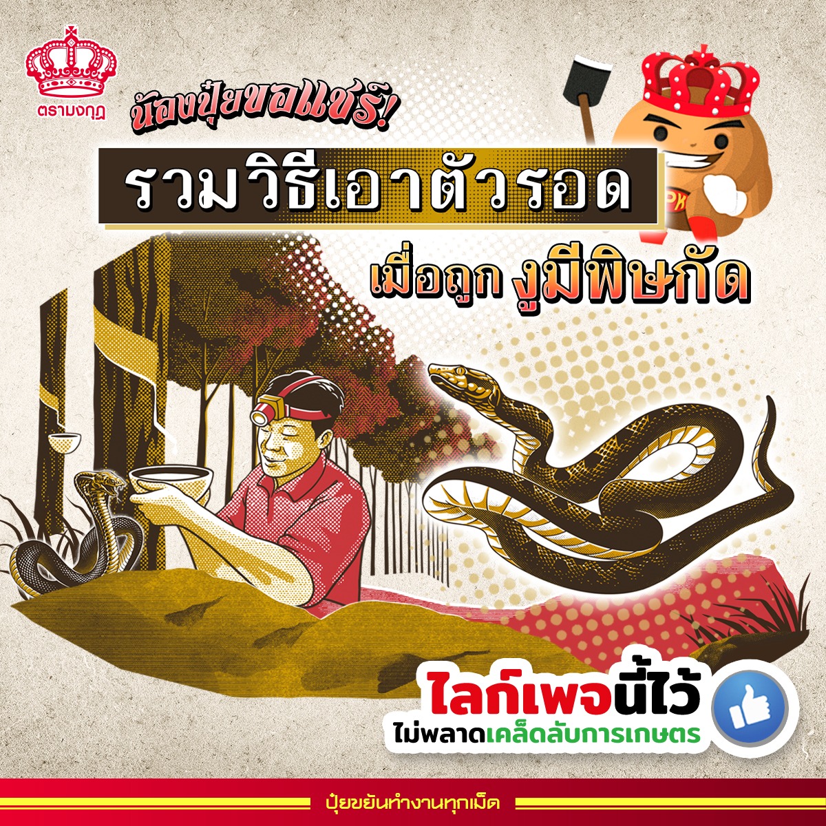ปุ๋ยตรามงกุฎ Facebook ad