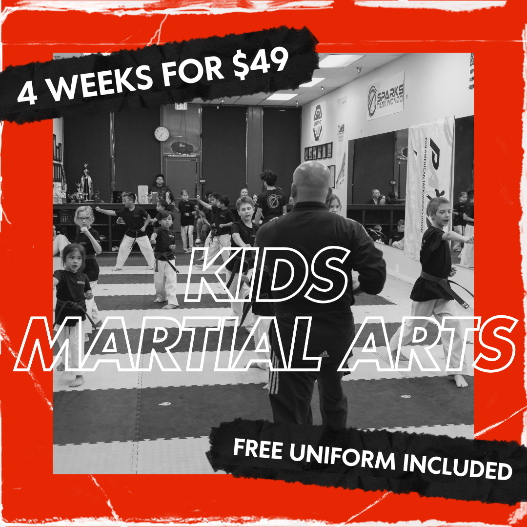 Sparks Taekwondo Facebook ad