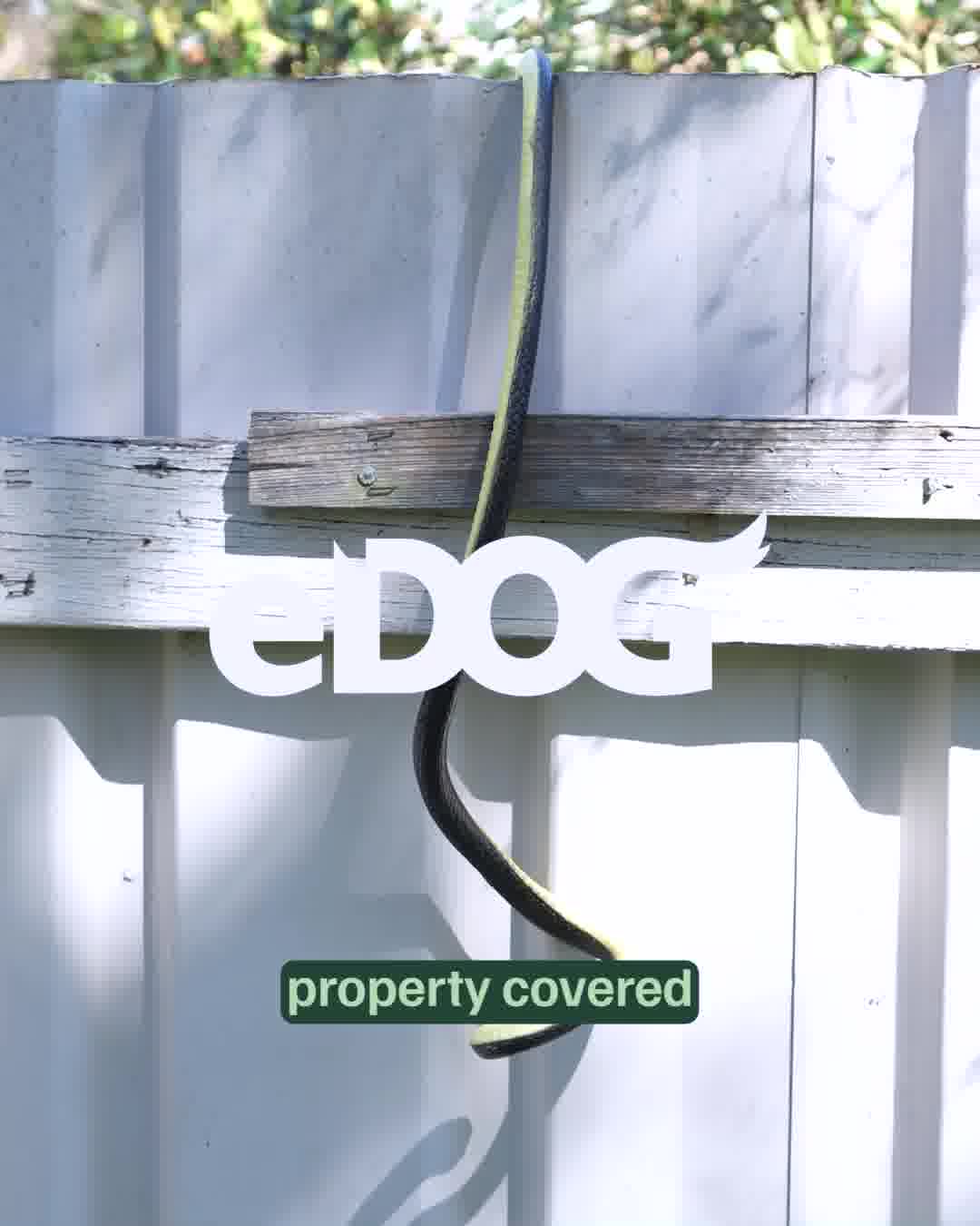 eDog Facebook ad: BUNDLE & SAVE ~ GET UP TO 25% OFF!