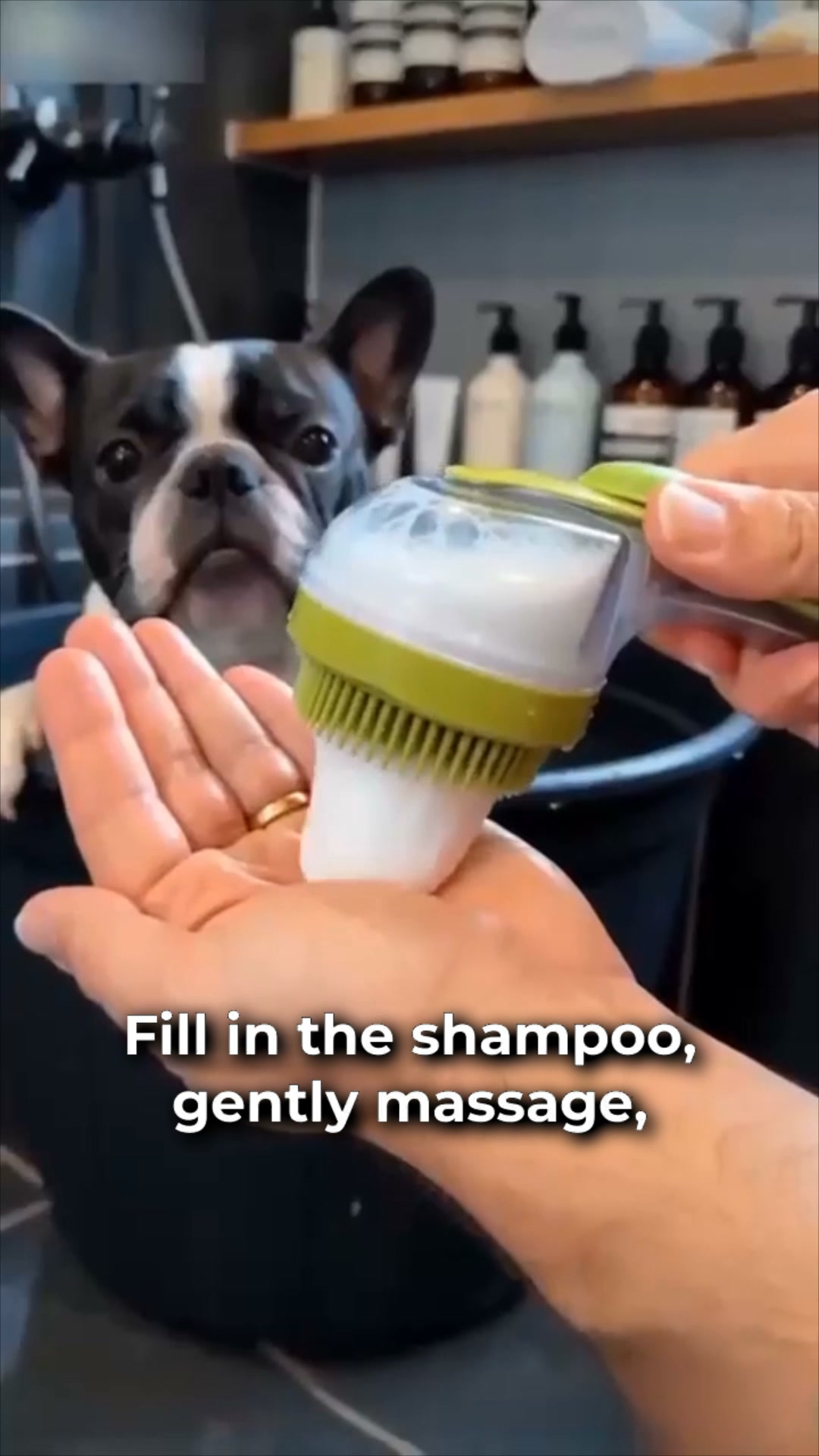Australian Paws Facebook ad: #1 Gentle Fur Cleaning
