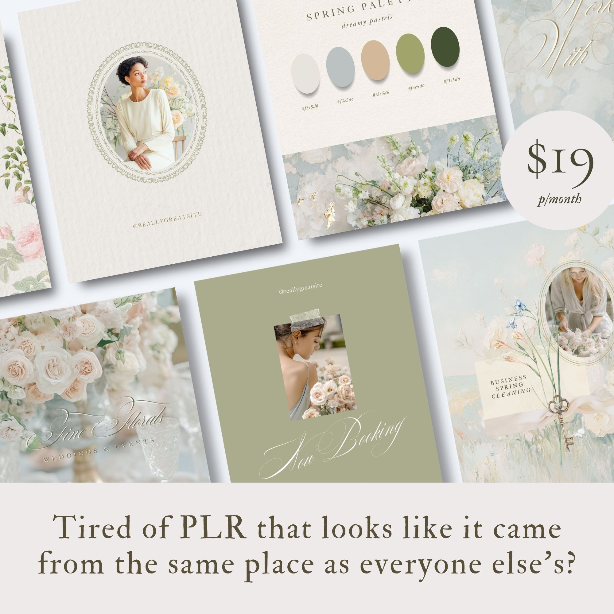 Rosey Willis Facebook ad: Premium PLR Templates