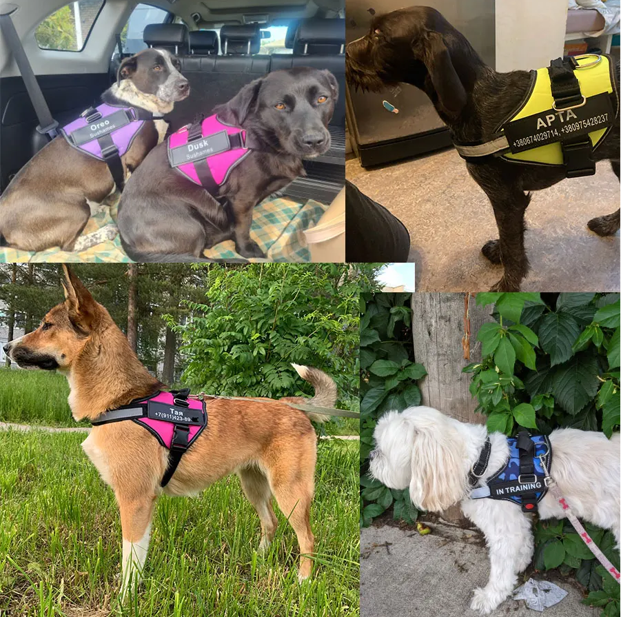 Shoptechpet Facebook ad: The #1 Personalized No-Pull Harness (50% OFF)