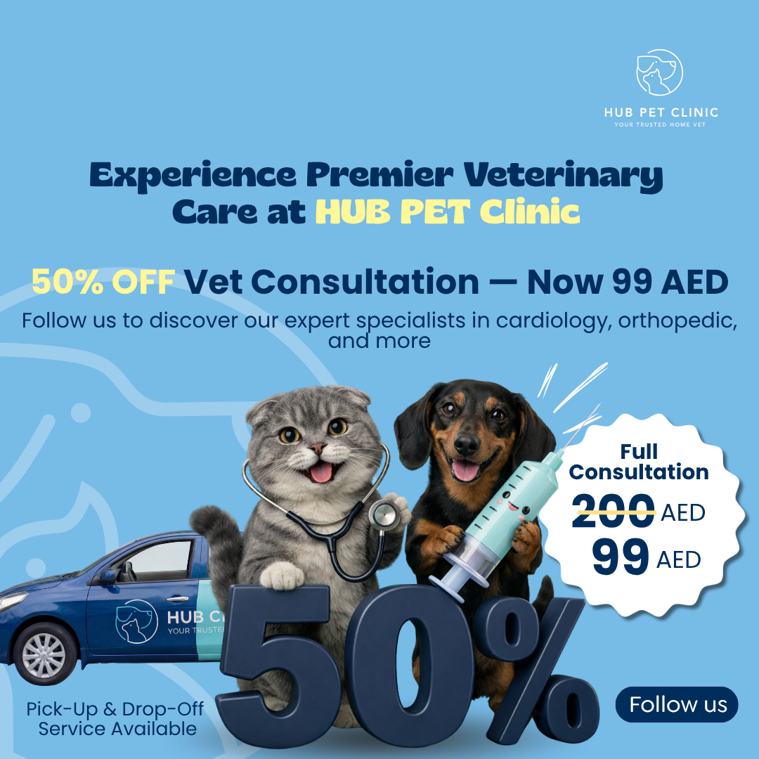 Hub Pet Veterinary Clinic Facebook ad