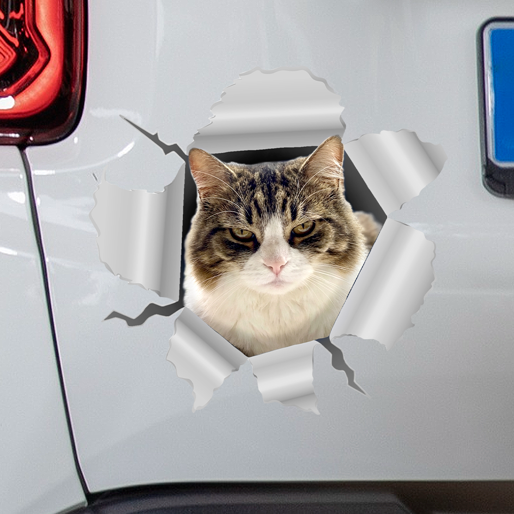 Pet Printed Facebook ad