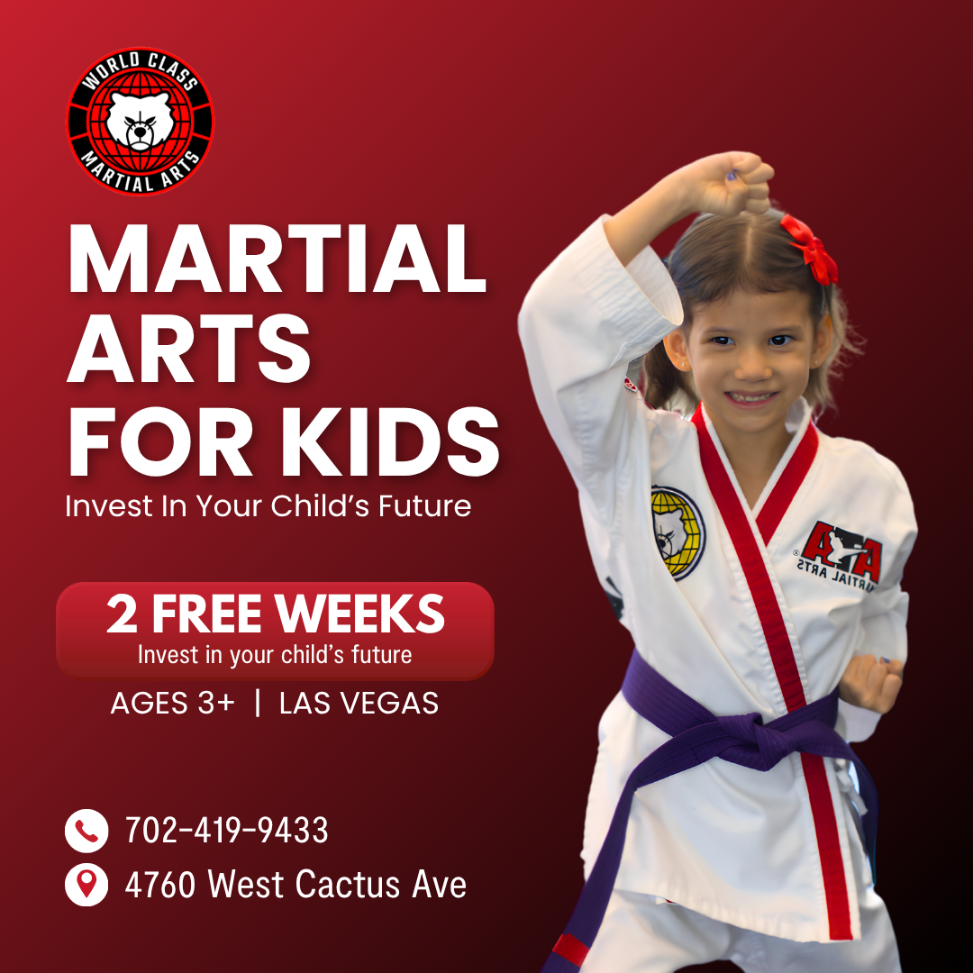 World Class Martial Arts Facebook ad: Kids Martial Arts (Ages 3+)
