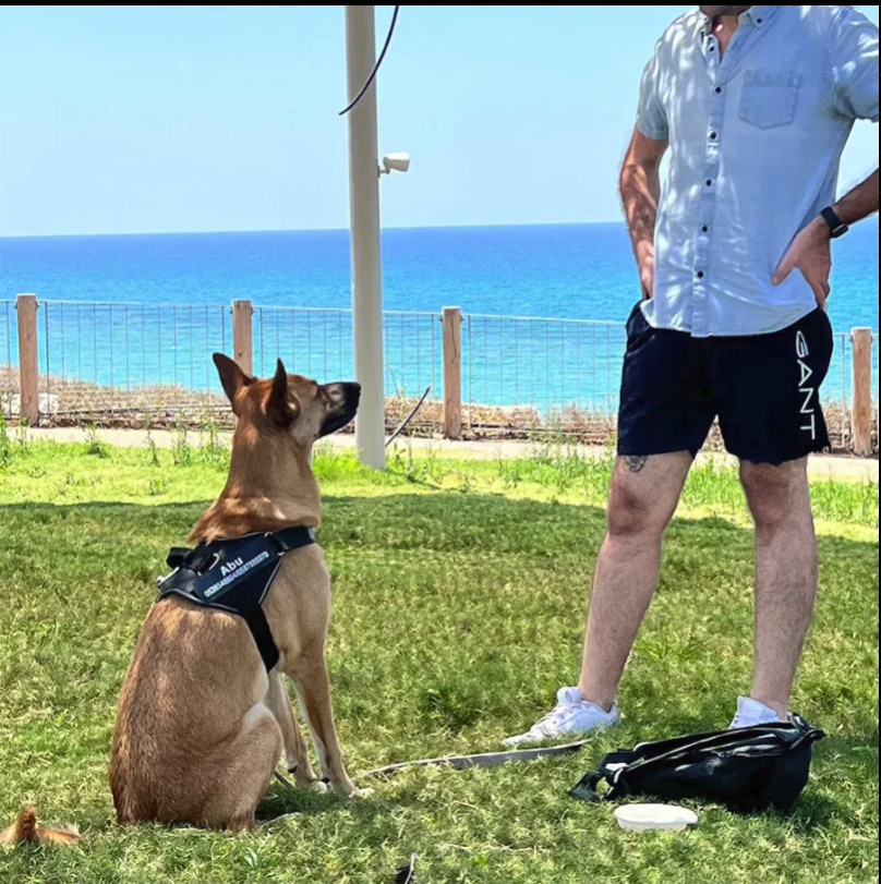 Shoptechpet Facebook ad: The #1 Personalized No-Pull Harness (50% OFF)