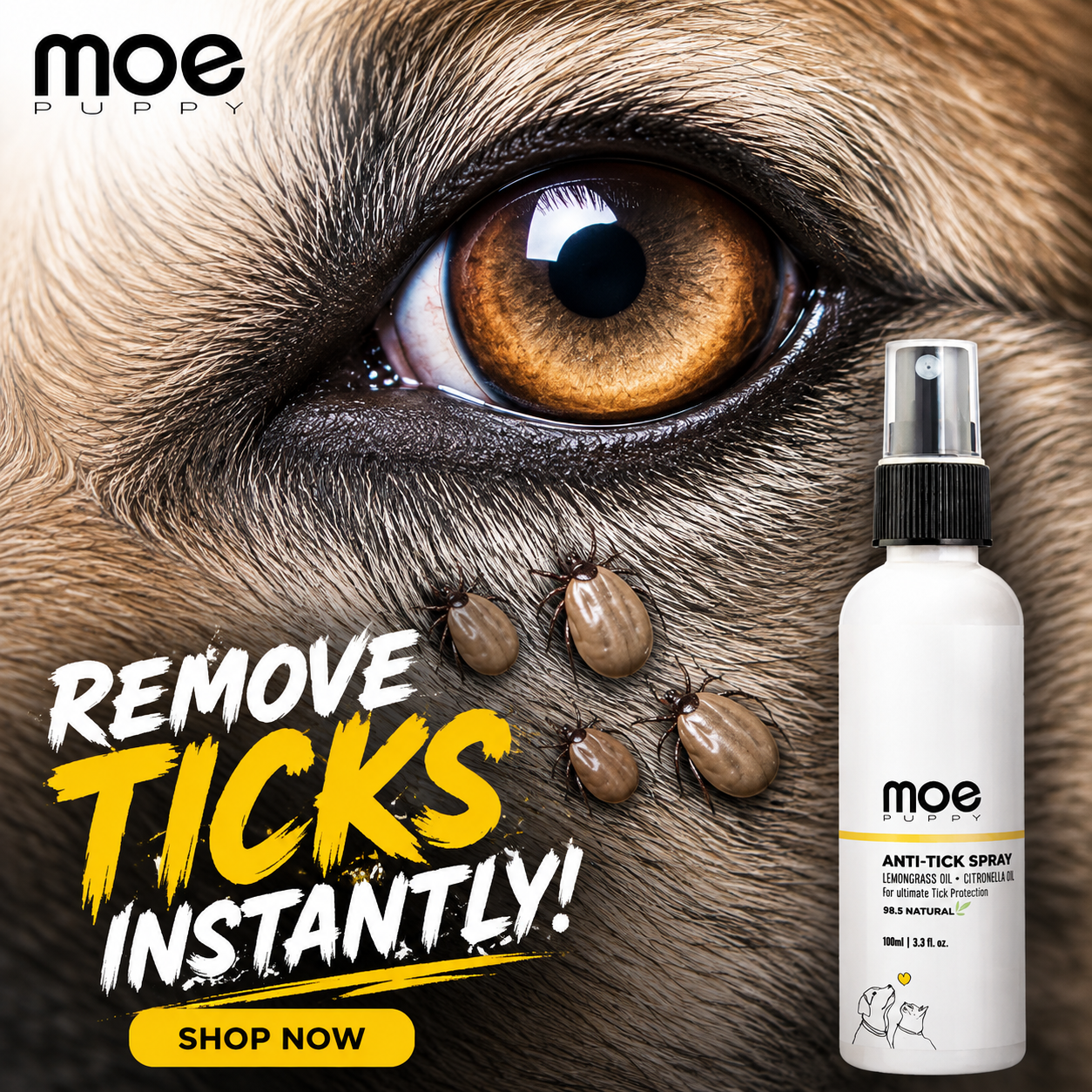 Moe Puppy Facebook ad