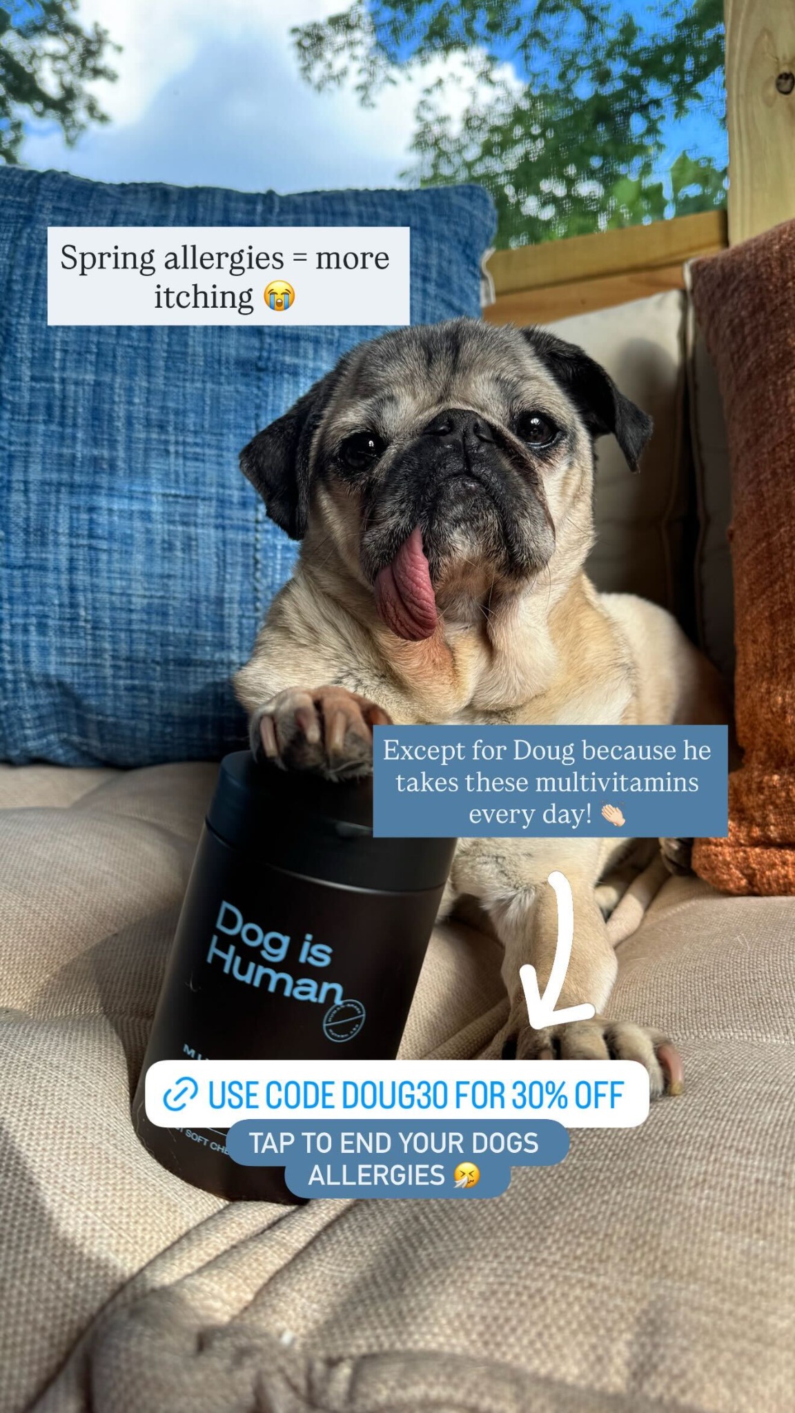 Dog is Human Facebook ad
