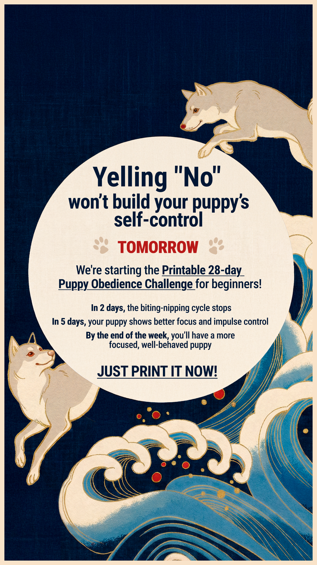 Woofz Facebook ad