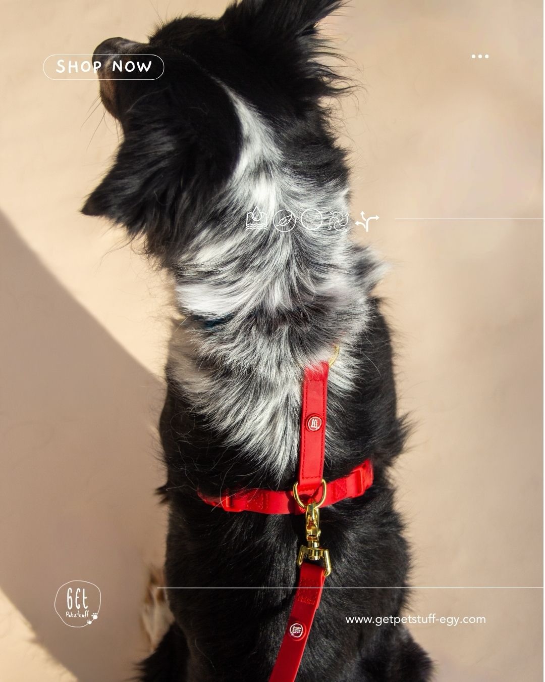 getpetstuff Facebook ad