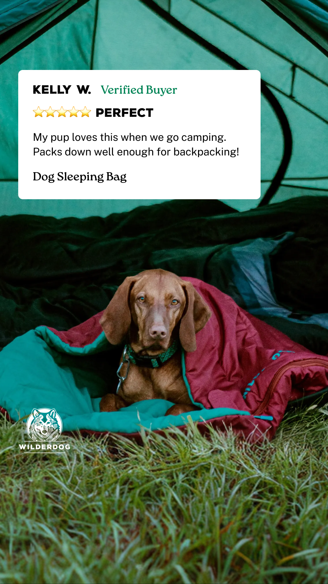 Wilderdog Facebook ad