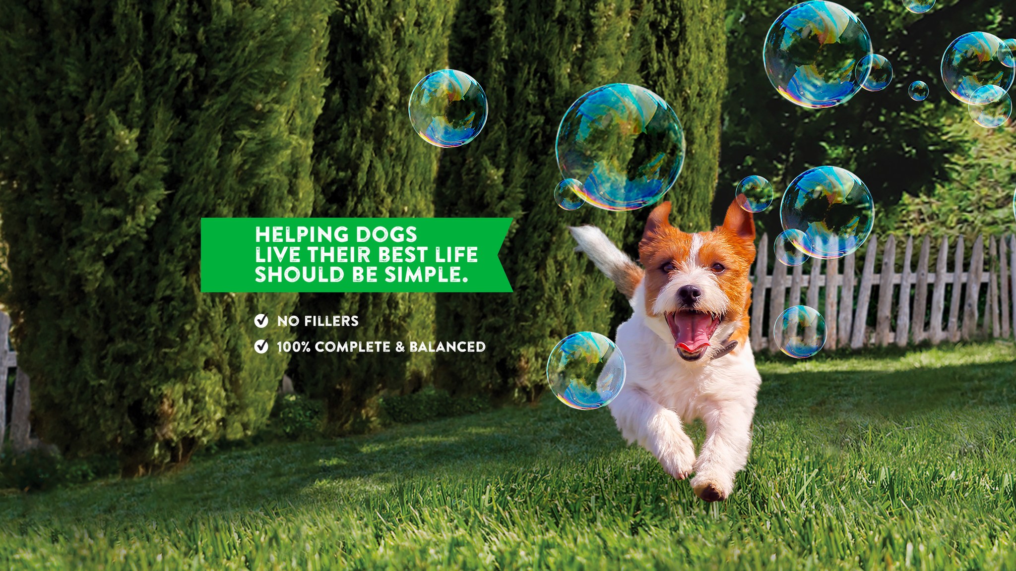 Purina Dog Chow Facebook ad from Feb 5, 2026