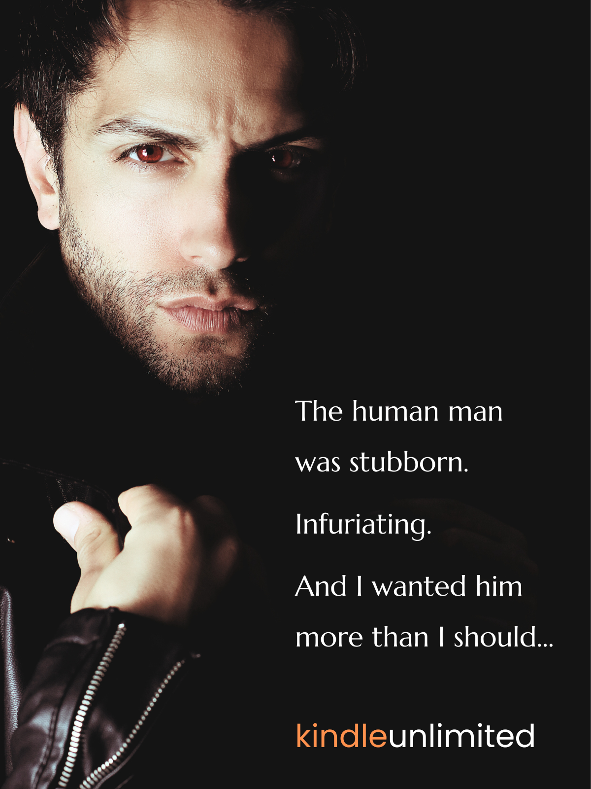 Jay Castle Facebook ad: Snowed In With the Vampire Prince, Read in Kindle Unlimited!