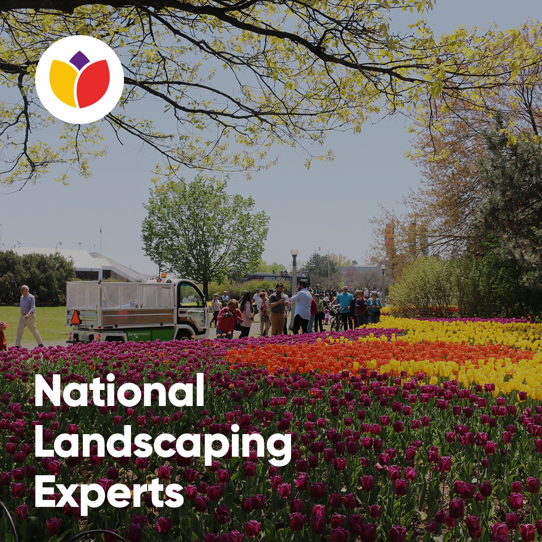 Strathmore Landscape Management Facebook ad: Time Is Valuable - We Help Save It