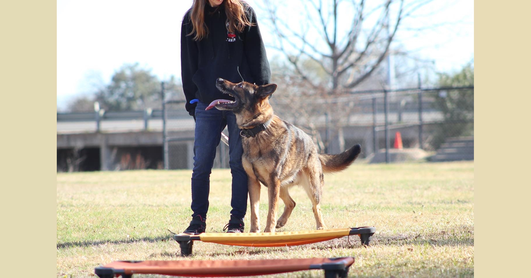 Precision K9 Work Facebook ad: Group Class and more!