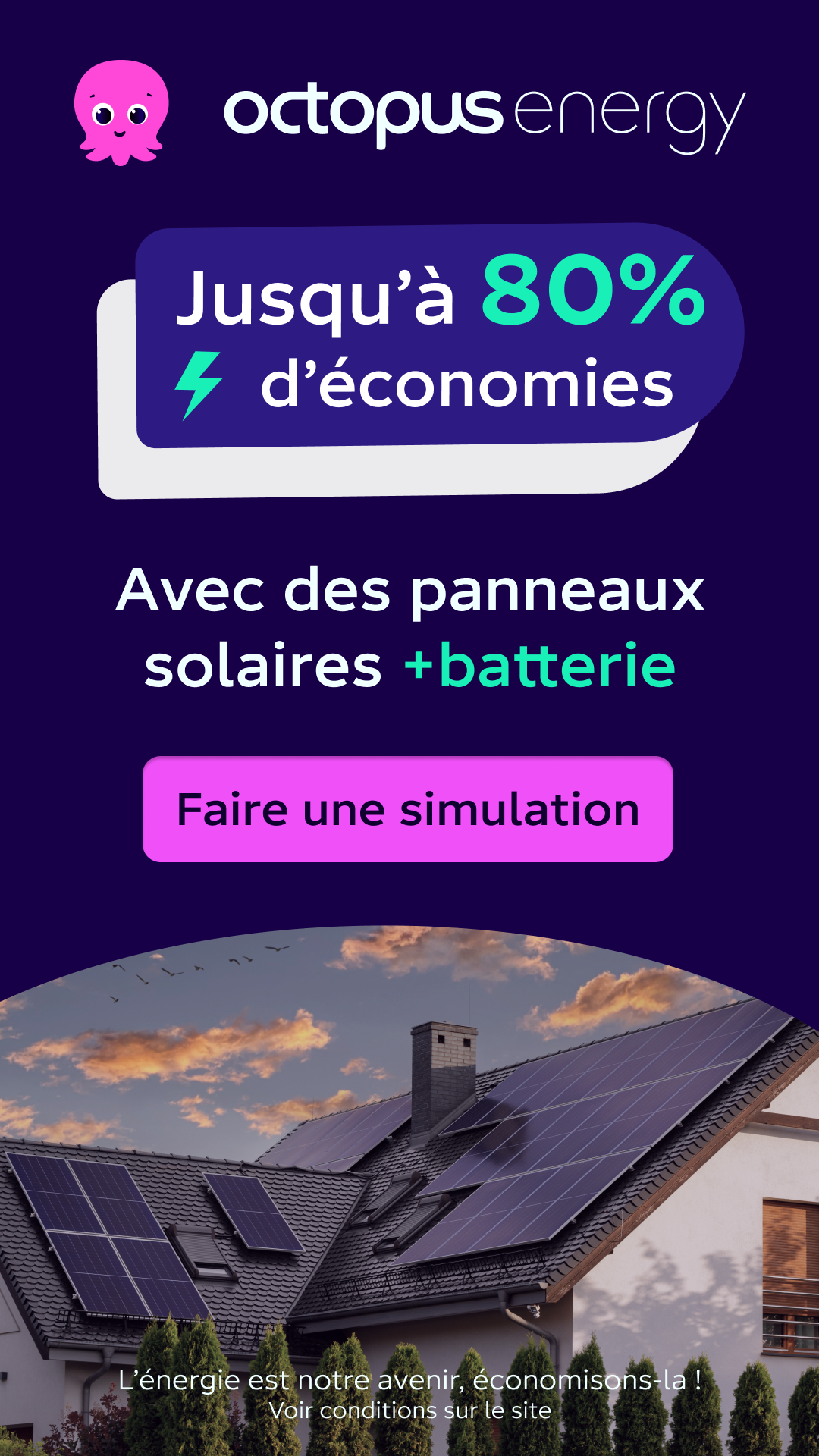 Octopus Energy Facebook ad