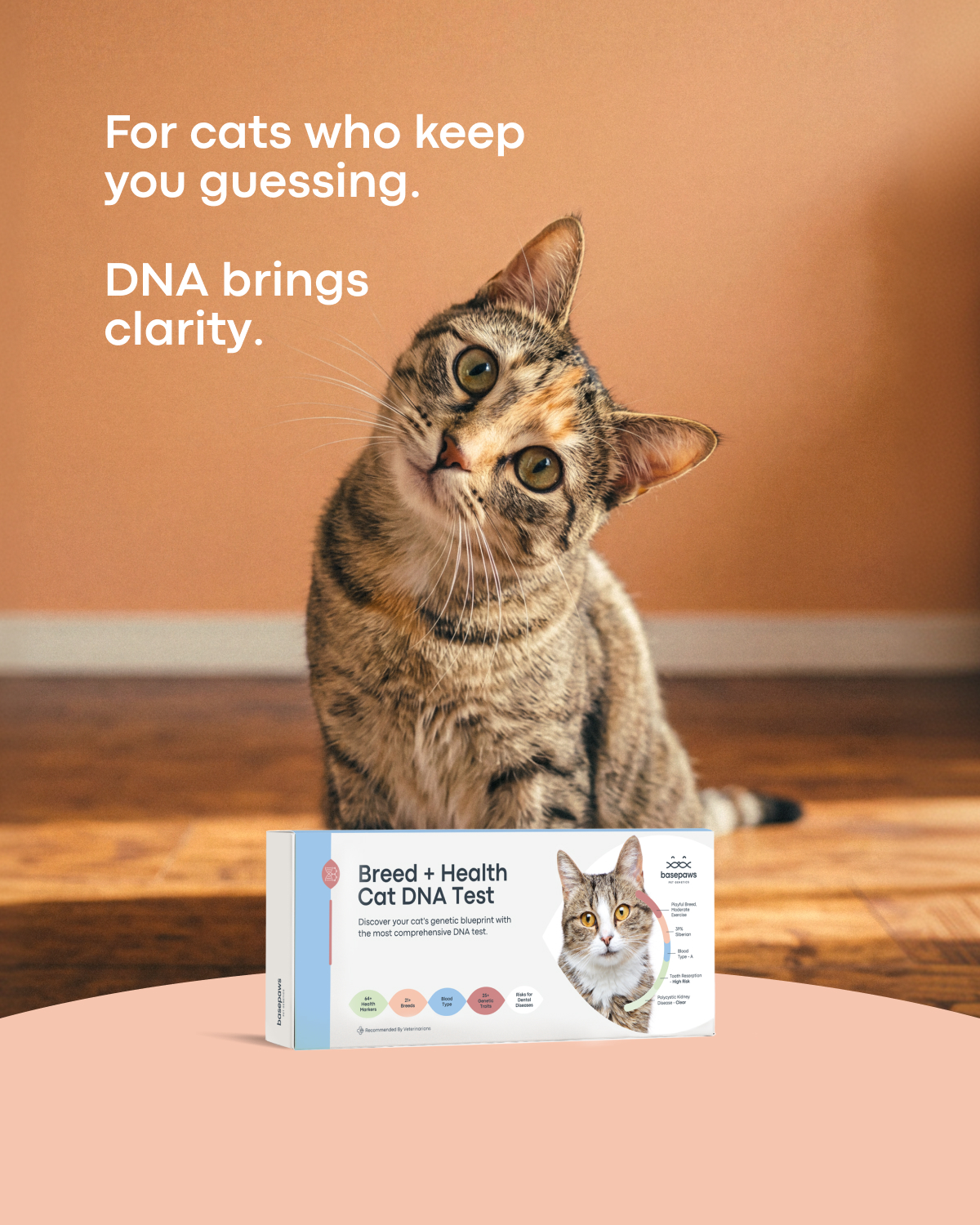 Basepaws Facebook ad from May 8, 2026