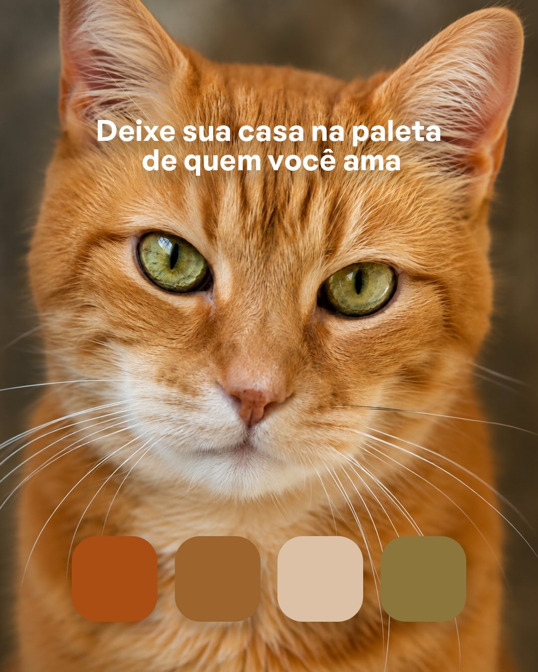 QuintoAndar Facebook ad