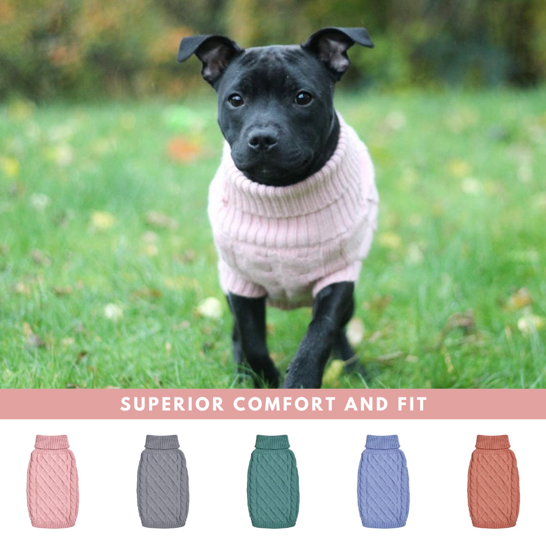 Spark Paws Facebook ad