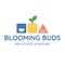 Blooming Buds - Preschool & Daycare