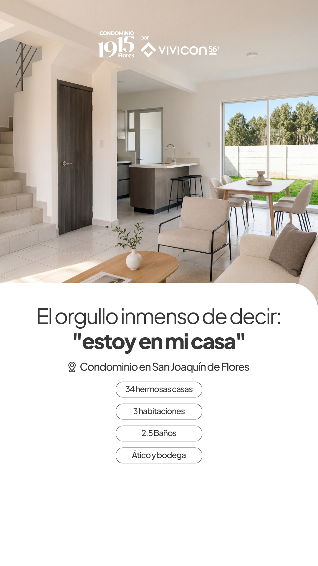 VIVICON Facebook ad