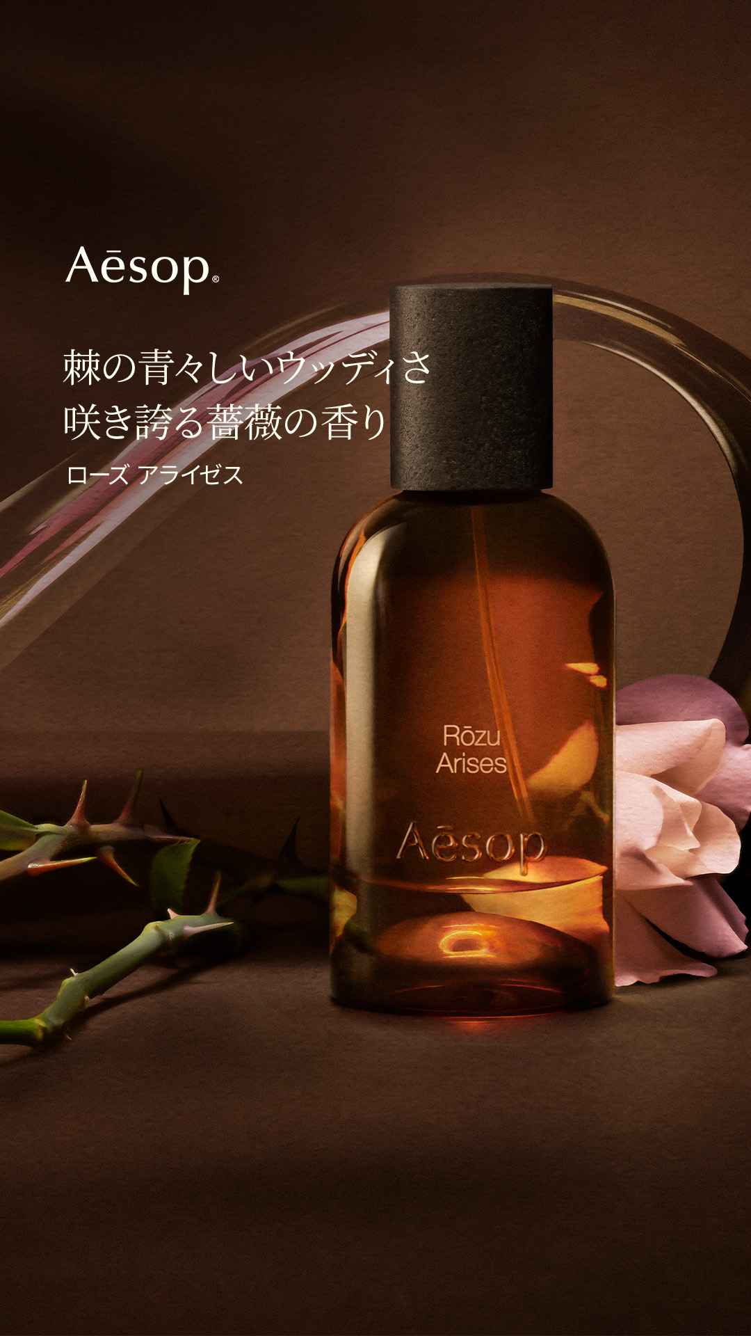 Aesop Facebook ad