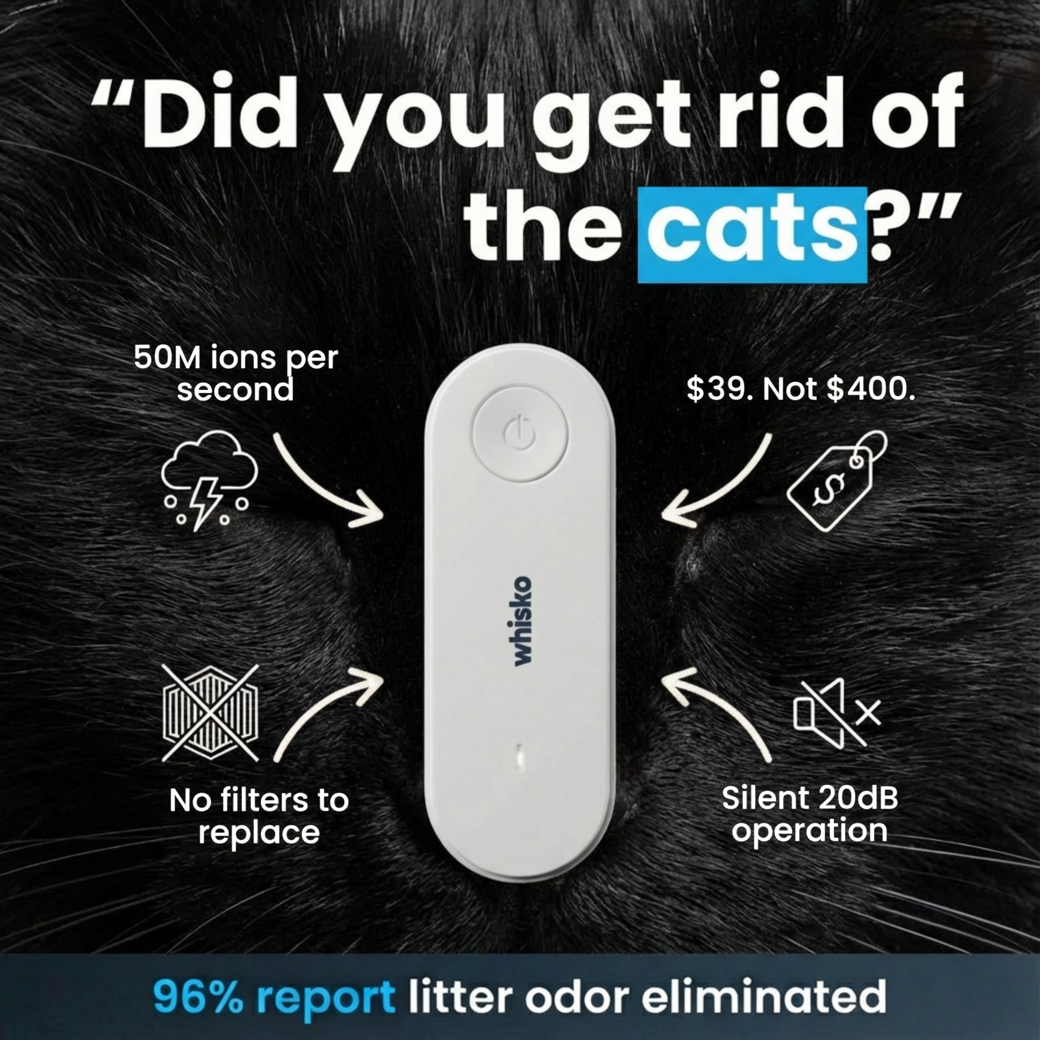 Cat Tips Daily Facebook ad