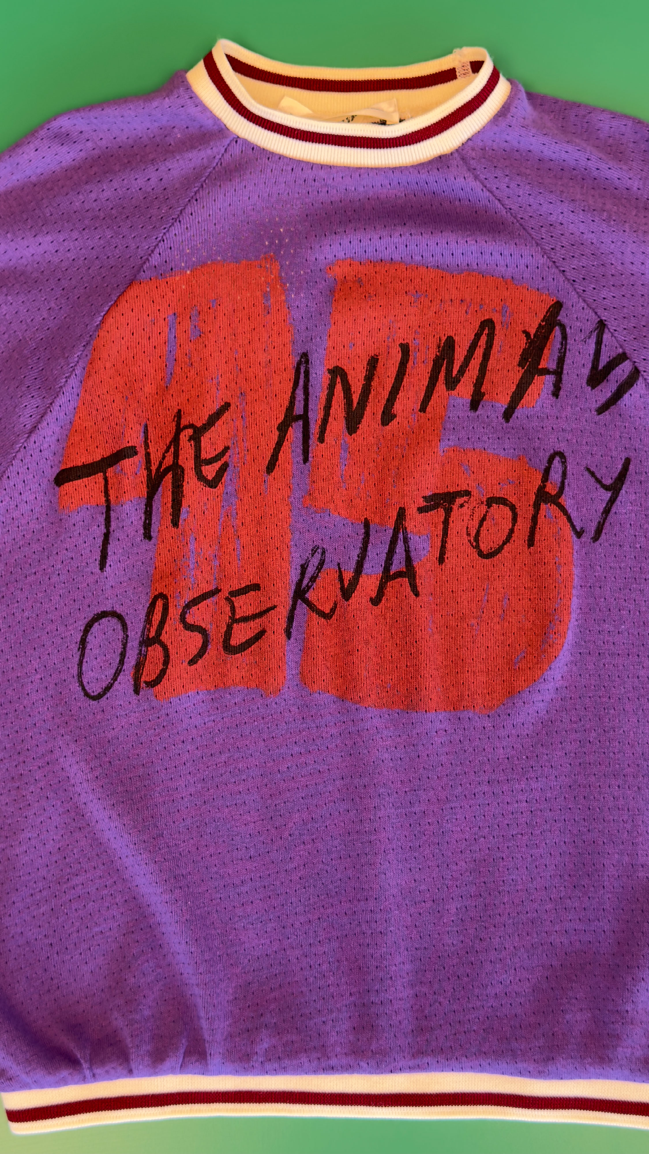 The Animals Observatory Facebook ad
