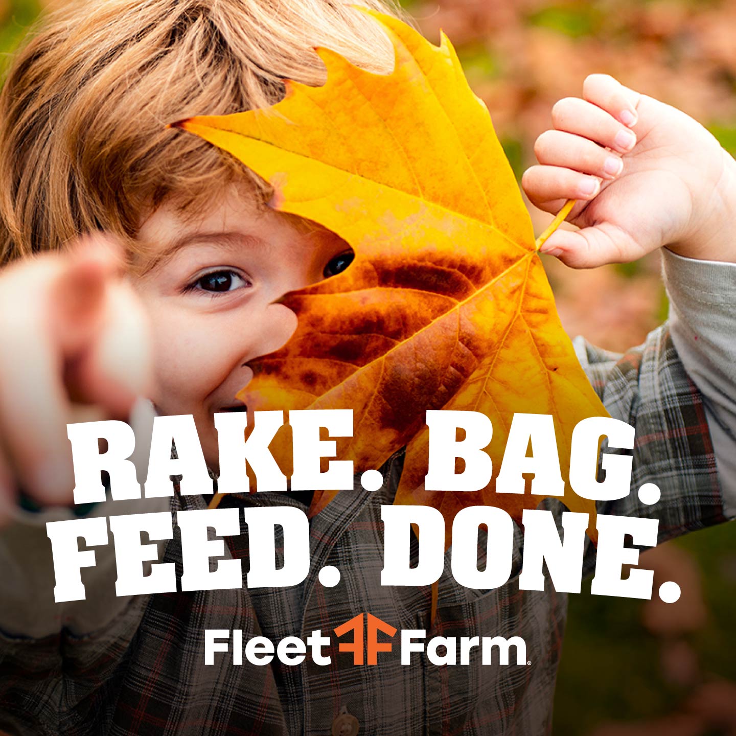 Fleet Farm Facebook ad