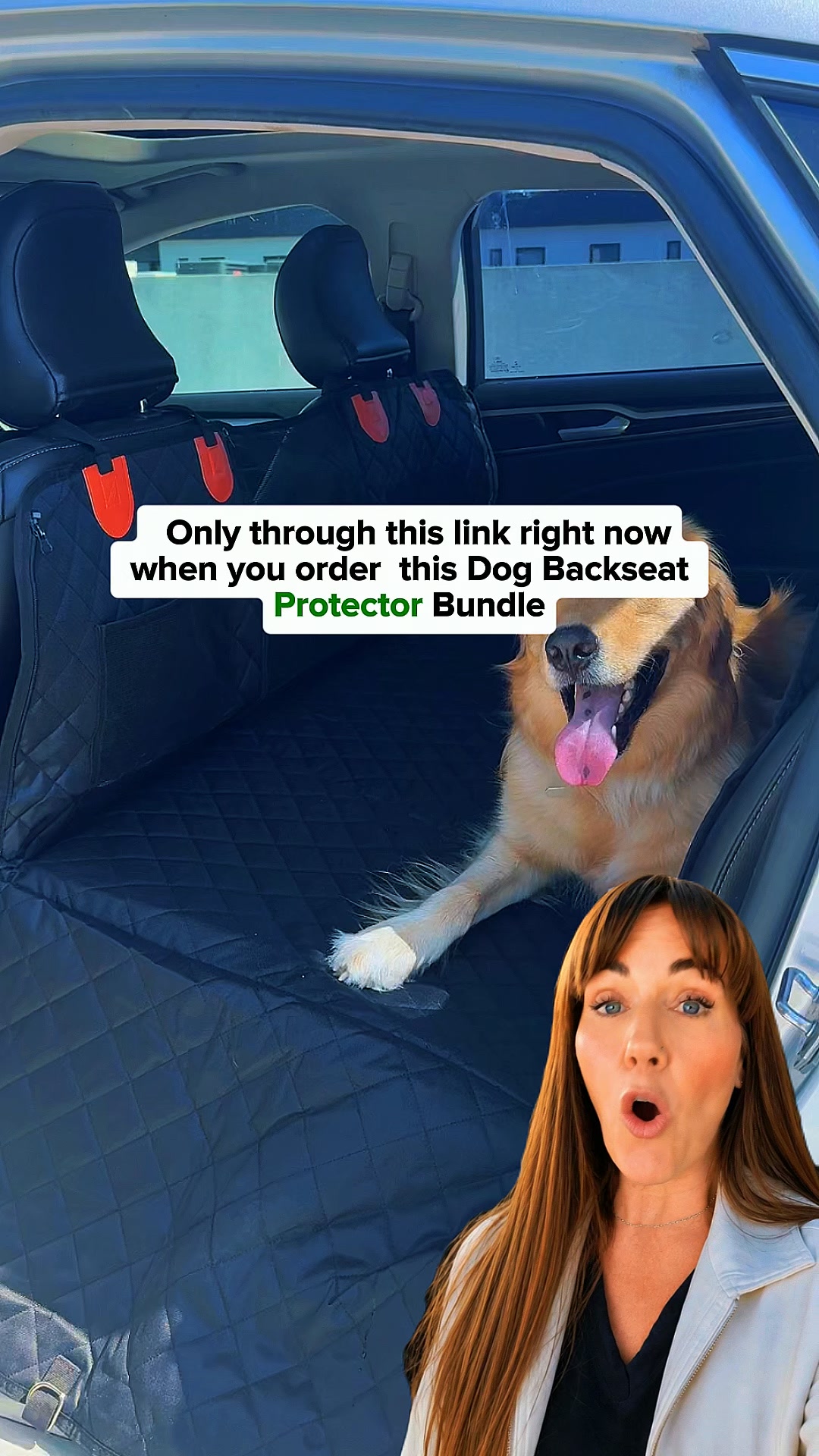 Pawpy Stuff Facebook ad: More Room for Your Dog