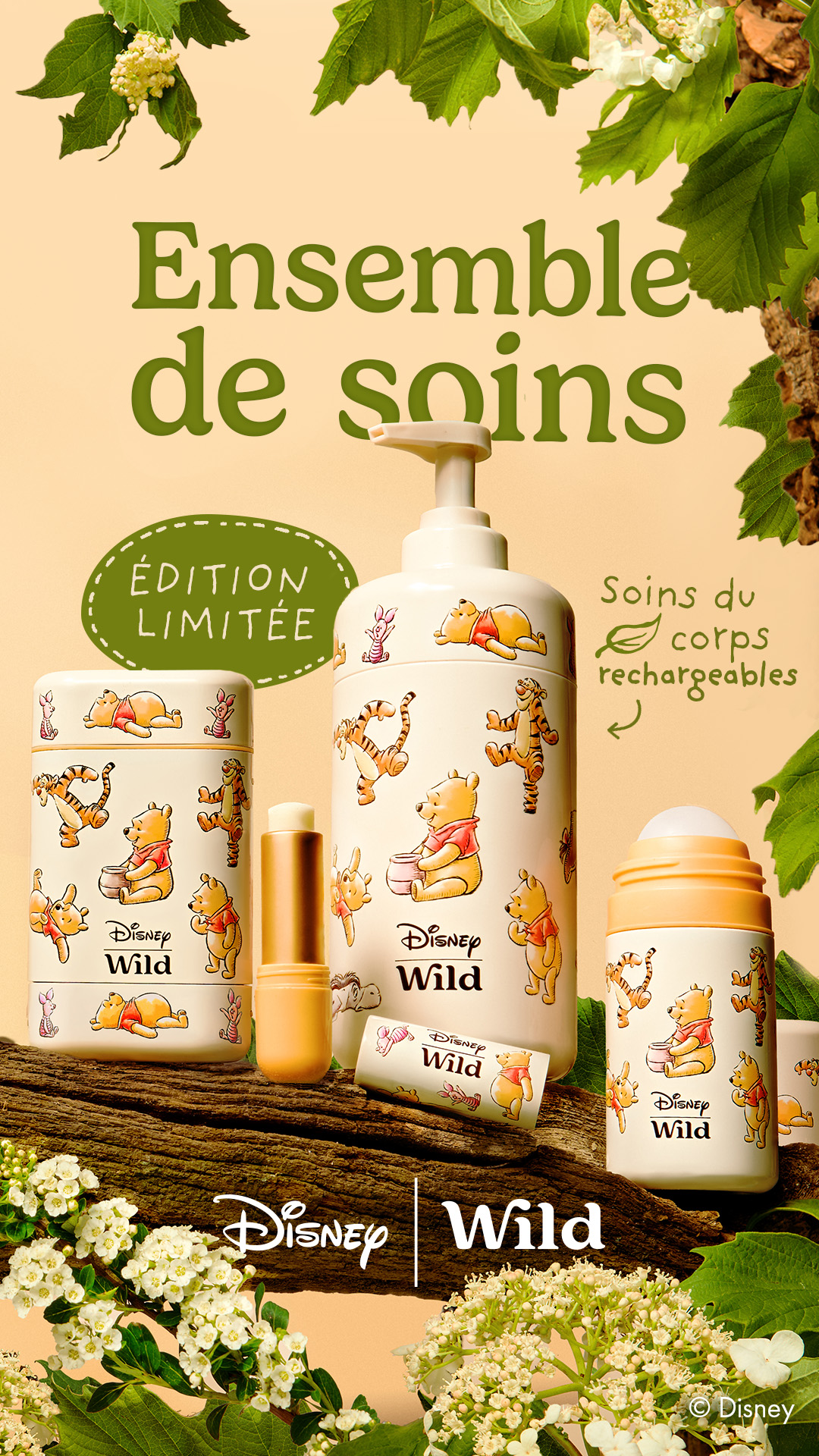 Wild Facebook ad: Votre routine quotidienne inspirée de Disney Winnie l'Ourson