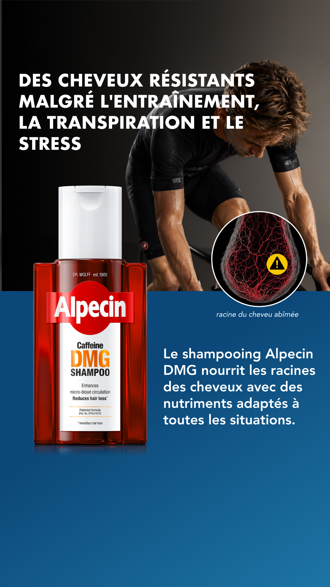 Alpecin Facebook ad from Aug 10, 2026