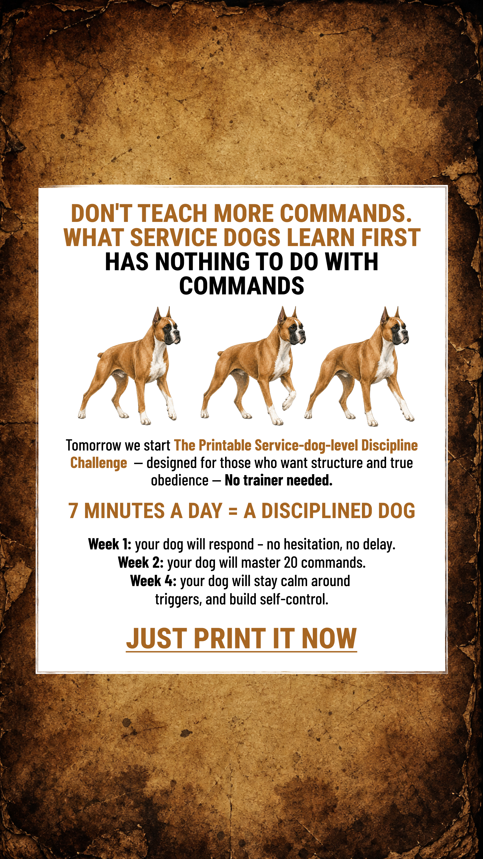 Max Anderson Facebook ad: Take the lead. Start now