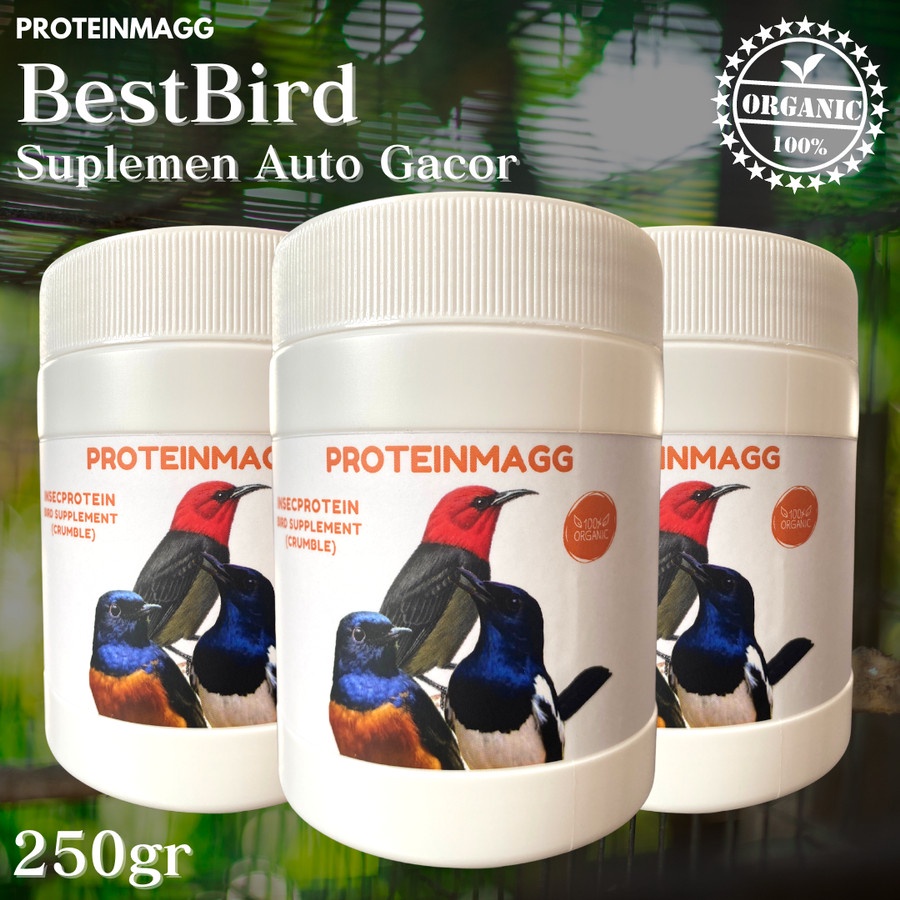 Maggpro.id Facebook ad from Dec 15, 2025