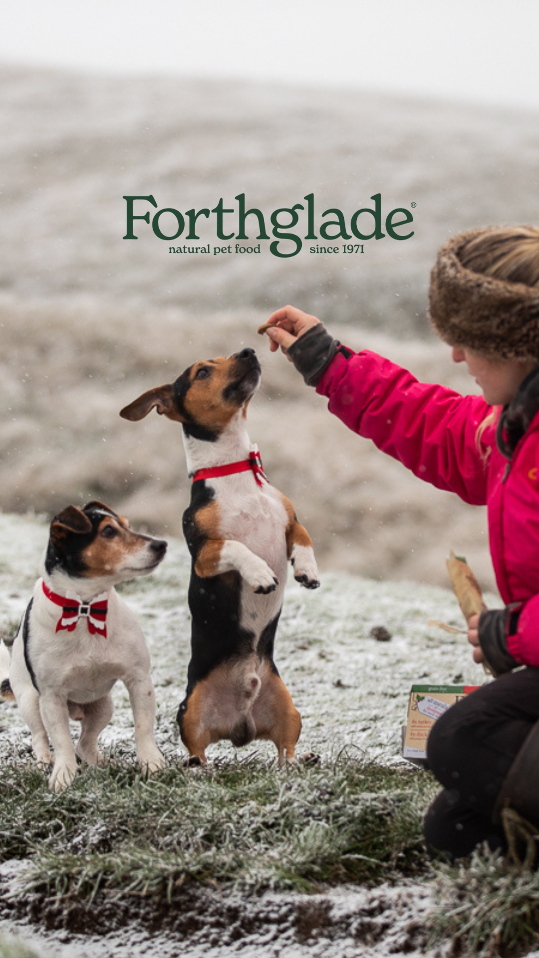 Forthglade Natural Pet Food Facebook ad