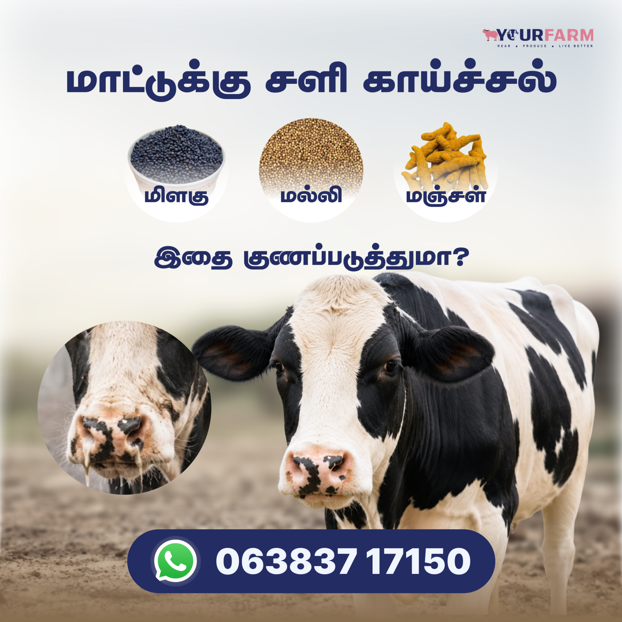 YourFarm AgriTech Facebook ad