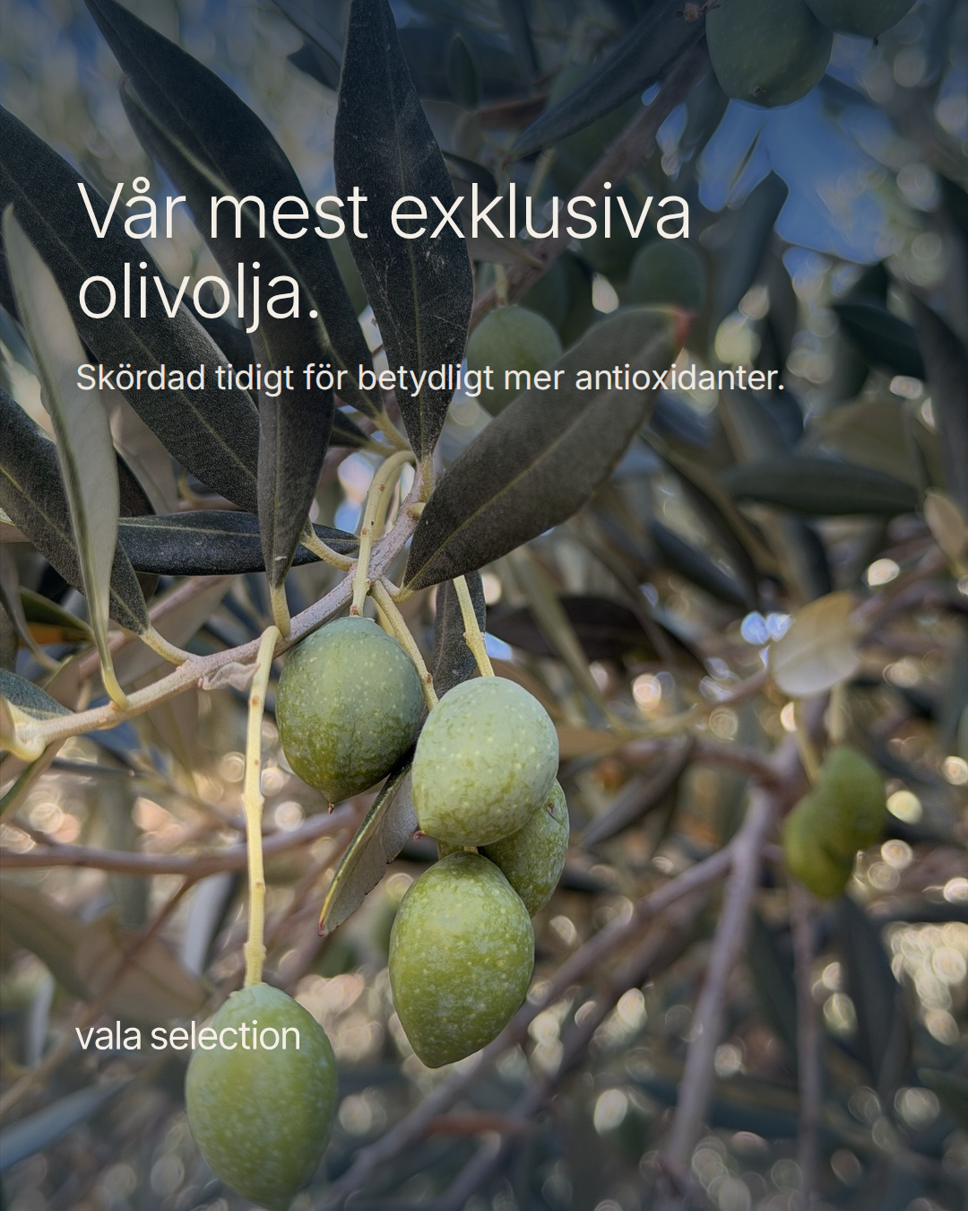 Vala Selection Facebook ad: Vår olivolja har minst 10 gånger mer antioxidanter…