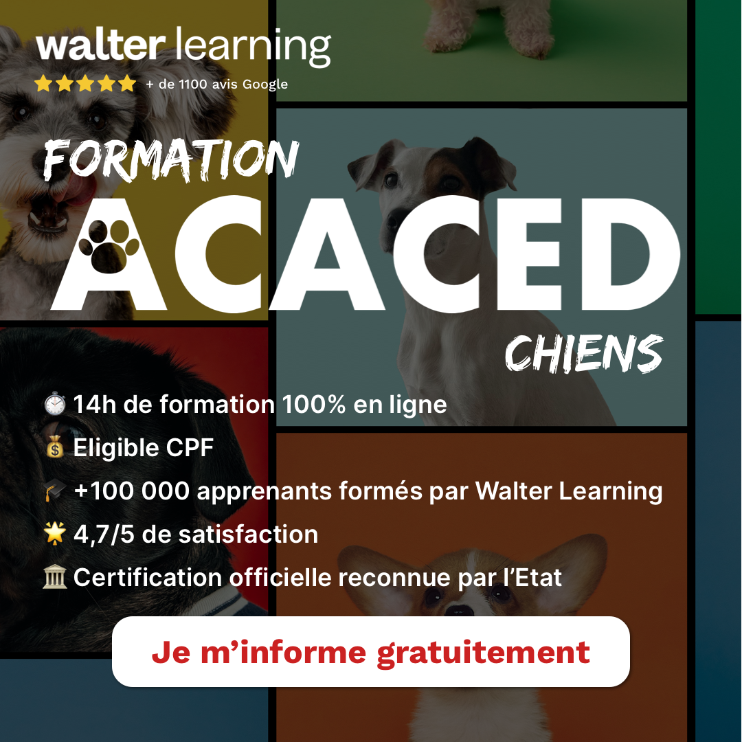 Walter Learning Facebook ad