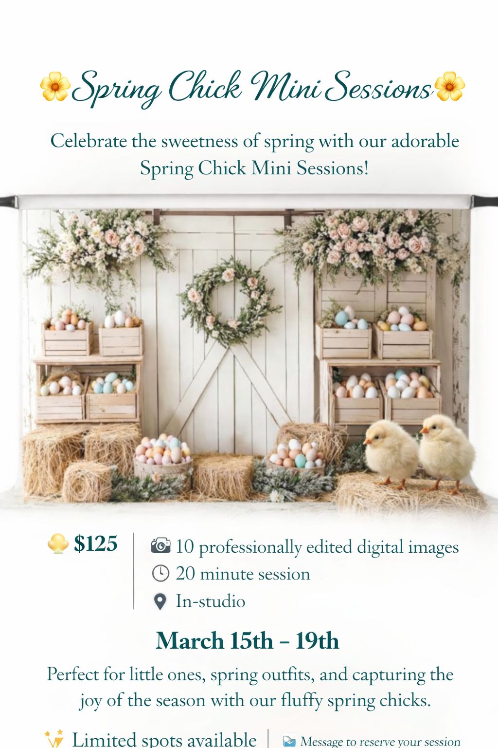 Megan Gibson Photography Facebook ad