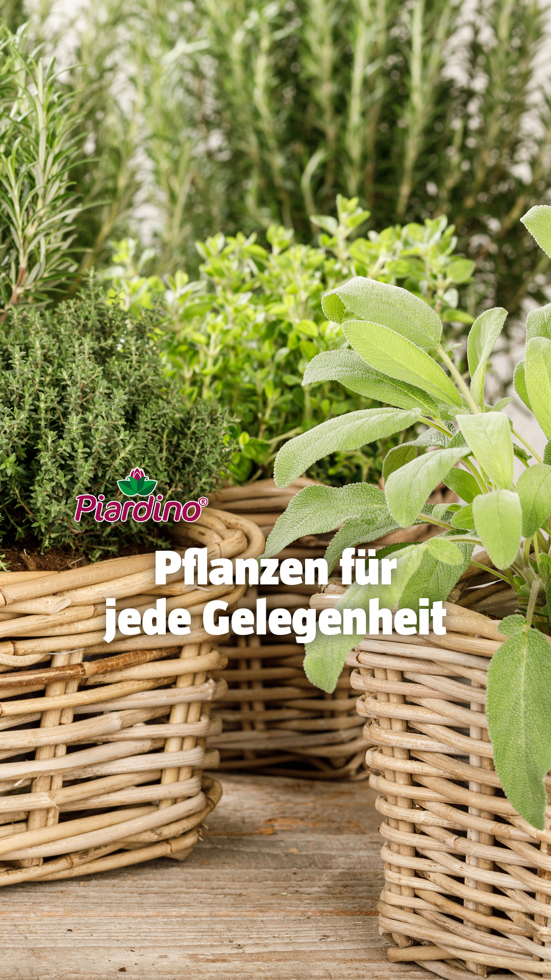 BAUHAUS Deutschland Facebook ad