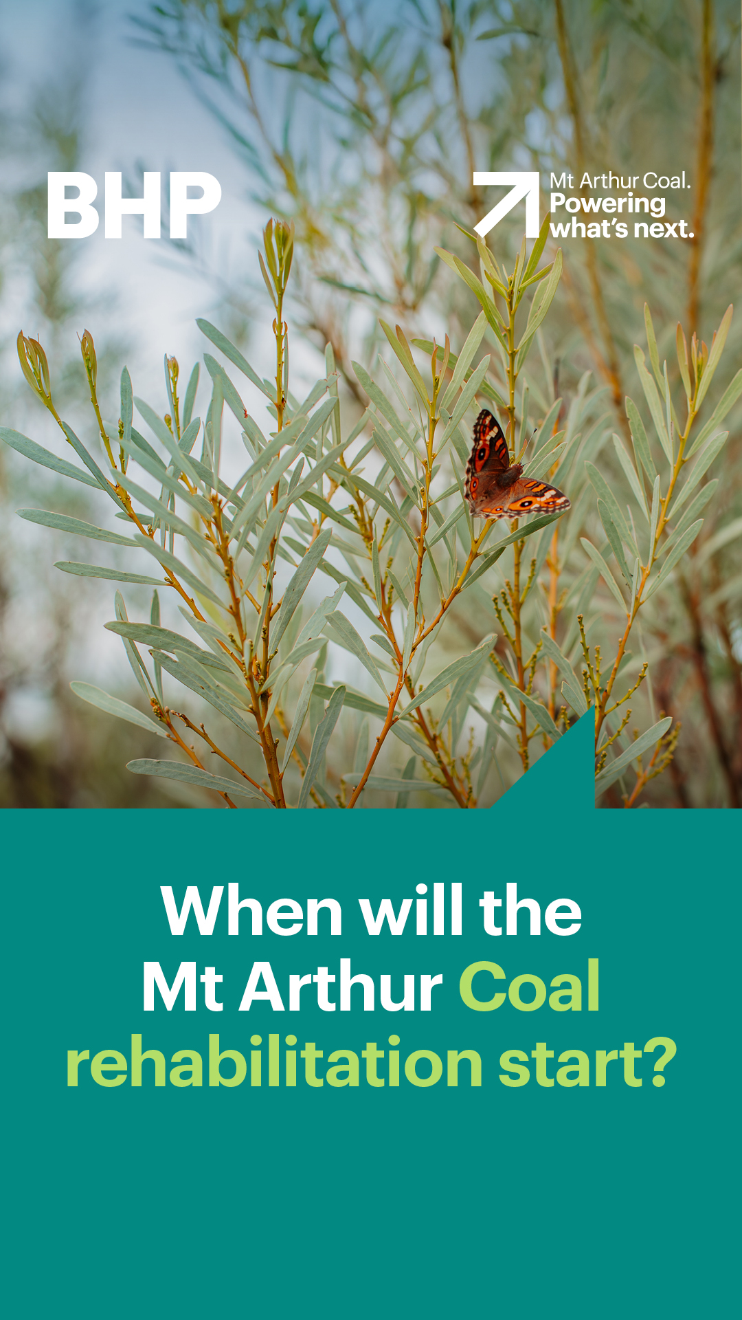 BHP New South Wales Facebook ad from Jan 30, 2026