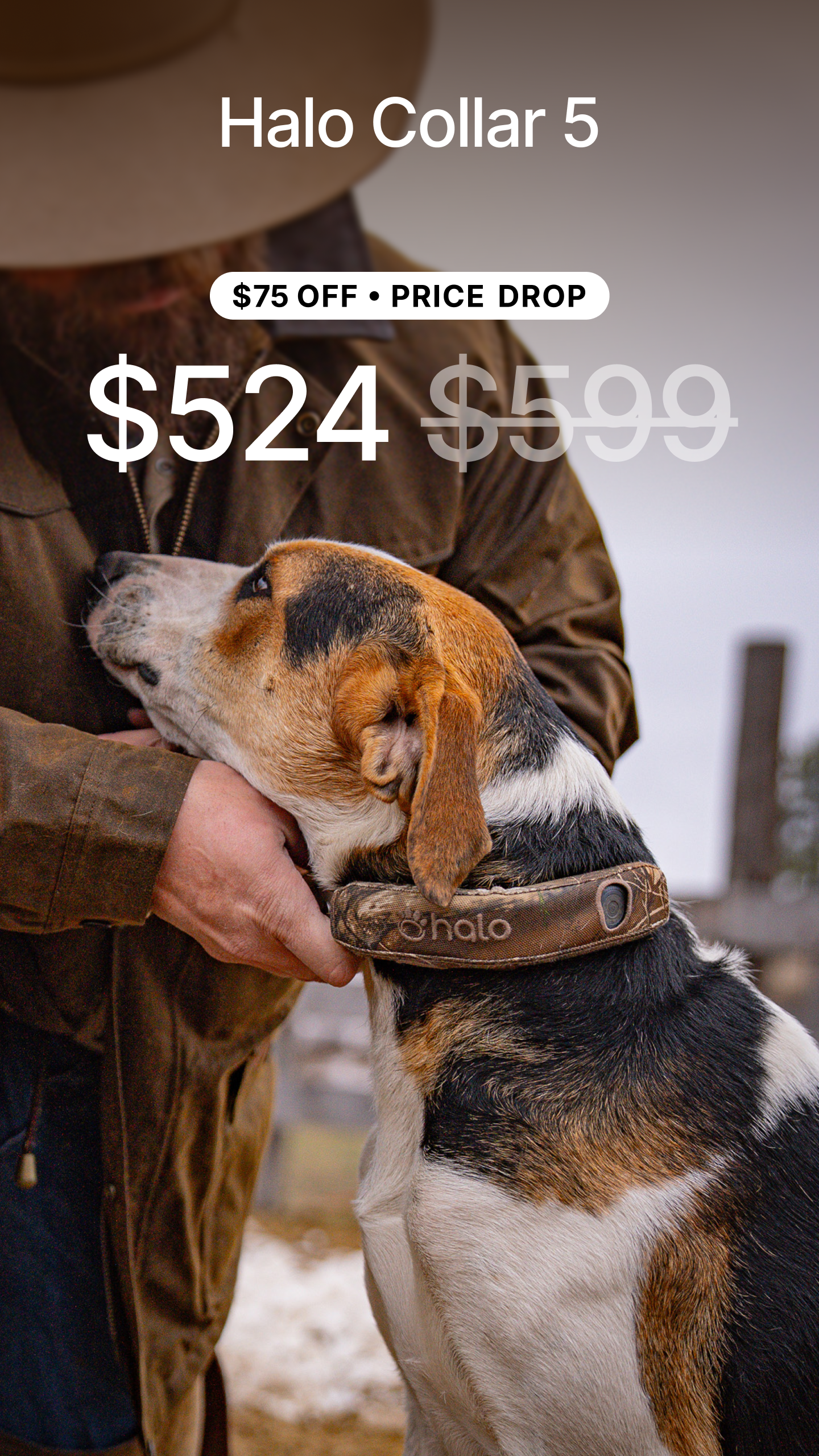 Halo Collar Facebook ad