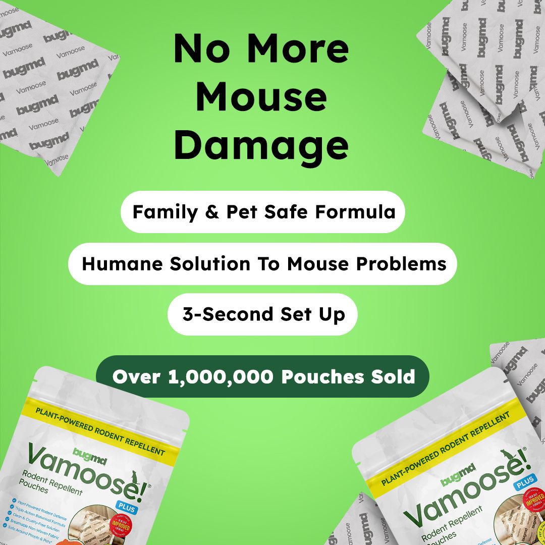 Bug MD Facebook ad